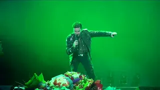 23. Crane's Crying (Vitas in Nanjing, China – 2009.05.02) [Amateur recording]