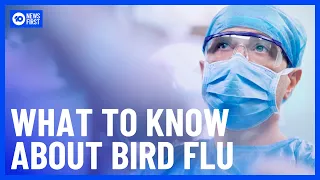 What To Know About The Bird Flu Detected In Australia | 10 News First
