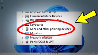 Fix Mice and Other Pointing Devices missing from Device Manager in windows 11 / 10 ✔️