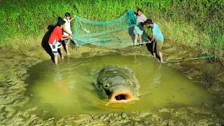Catching Fish From Old Pond | കുളം വറ്റിച്ചു മീൻ പിടിക്കാം | M4 TECH |