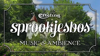 Sprookjesbos | Efteling Music & Ambience - Relaxing Music for Studying, Focusing, & Sleep