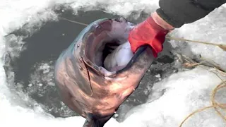 Amazing Ice Fishing Catch Big Fish - FASTEST BIG FISH FISHING SKILL THROUGH THE ICE