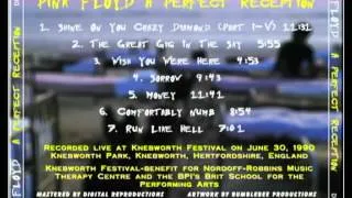 Pink Floyd - The Great Gig In The Sky (Live at Knebworth 1990) (audio only)