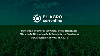 EL AGRO CORRENTINO TV