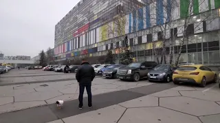 Петух Витя был в Москве на ОРТ.