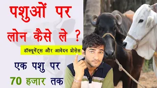 Pashu par loan kaise le | पशु पर लोन कैसे मिलता है | पशु लोन योजना एक पशु पर मिलेंगे ₹70000