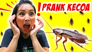 COCKROACH PRANK TO MOM ! REALLY SCARY | Funny Skit Video | CnX Adventurers