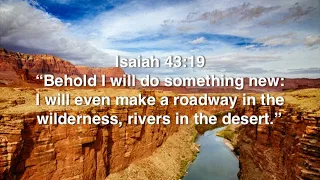 Isaiah 43:19 (Promise)