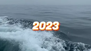 ~Vamos ver se você sabe mais Dancinhas de 2021 ou de 2023~{Tik Tok}~ Não Sou Mashup   5998837