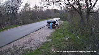 Caught on camera: Texas man dumps dog near Dowdy Ferry Road