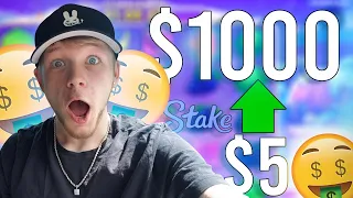 $5 TO $1000 GAMBLING CHALLENGE (INSANE PROFIT)