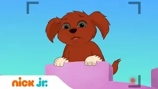 Даша и друзья | Школа собак 🐕| Nick Jr. Россия