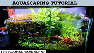 Step by Step Planted Tank Tutorial | Complete Planted Aquarium Setup | Planted Tank Guide In Hindi