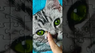 Cute🥰Cats Jigsaw Puzzle Oddly Satisfying #tiktok #short