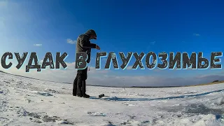 За судаком в феврале. Что делать в безклевье?