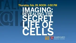 Imaging: Revealing the Secret Life of Cells