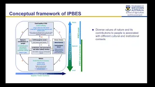 Values, Valuation and the IPBES: Some observations