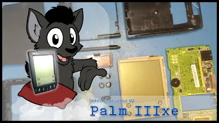 Palm IIIxe, deep clean and "modern" use