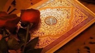 Сура: Аль-Муддассир [Завернувшийся]. #Quran