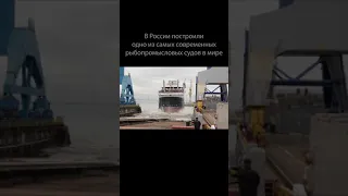 🚢Cупертраулер. В России построили одно из самых современных рыбопромысловых судов в мире #Shorts