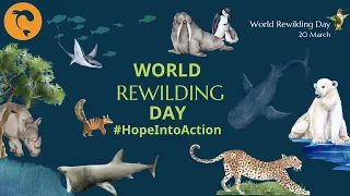 Rewilding Hope Into Action