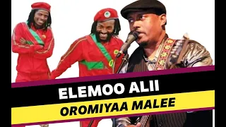 Elemo Ali Oromo Music, New Oromo Music HD ♥️ | Best Oromo Music Collection | Oromo Pride