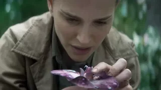 Scene From ‘Annihilation’ | Anatomy of a Scene