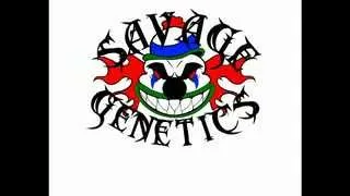 Savage Genetics - Camp Genetica(WIP)