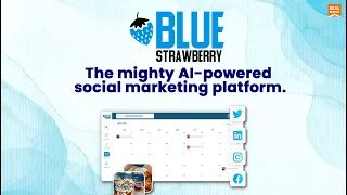 How to create a campaign in Blue Strawberry |Blue Strawberry Walk Through |Deal Mirror|Lifetime Deal