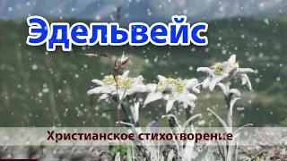 02. "Эдельвейс" - Сильное Христианское Стихотворение. (Вера Кушнир)