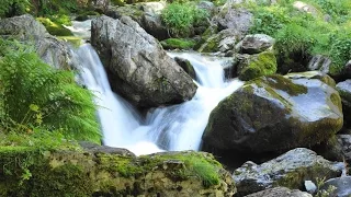 Gourette au lac d'Anglas