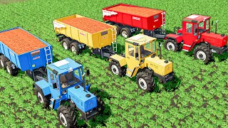 Tractor Of Colors! Mercedes Trac! Carrot Harvest with MERCEDES TRAC IN ELMCREEK ! FS22