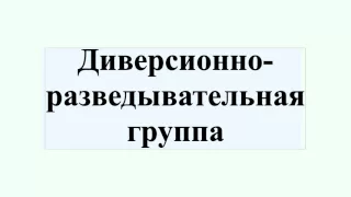 Диверсионно-разведывательная группа