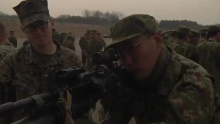 Us Marines And Japanese Soldiers (Jgsdf) Exercise Forest Light 17-1