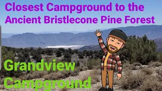 Tour & Info Closest campground to the Ancient Bristlecone Pine Forest Grandview Campground