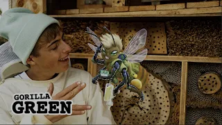 Wildbienen - Let's BEE family