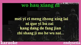 Karaoke mandarin (wo hau xiang ni)