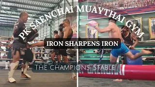 PK Saenchai MuayThai Gym | Bangkok | The Stable of Champions