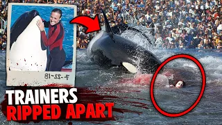 This Killer Orca DISMEMBERED 3 People In Front of Audience At Seaworld!