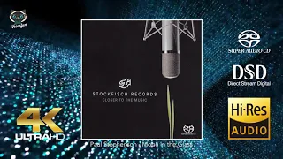 Paul Stephenson - Moon in the Glass (4K Hi-End audiophile sound)