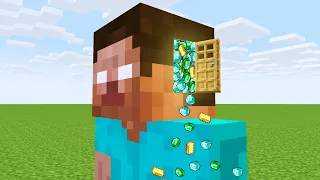 whats inside herobrine head?