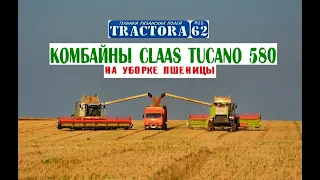 Комбайны CLAAS TUCANO 580 на уборке пшеницы