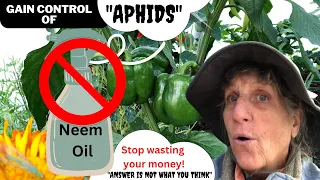 "Stop using Neem" to control Aphids. The aphid is a messenger!