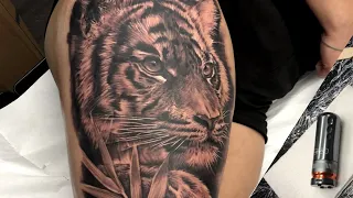 Realistic Tiger Tattoo - Mast Racer Pen .Time Lapse and Real Time , Black and Grey Animal Portrait