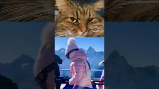 Cat Reacted To Ski Rave Kid Baby Dance