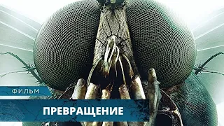 ЖУТКОЕ ПРЕВРАЩЕНИЕ НЕ ДЛЯ СЛАБОНЕРВНЫХ! Превращение. Лучшие Фильмы Ужасов