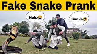 Fake Snake Prank(Gone Wrong) | Prank in Pakistan | Decent Prank