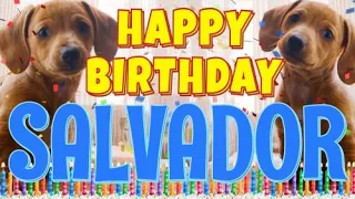 Happy Birthday Salvador! ( Funny Talking Dogs ) What Is Free On My Birthday