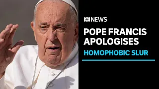 Pope Francis apologises for using homophobic language behind closed doors | ABC News