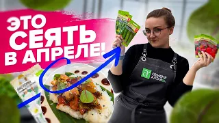 ЧТО СЕЯТЬ В АПРЕЛЕ? ТОП САМЫХ ГЛАВНЫХ КУЛЬТУР. ТОМАТЫ ТОЖЕ МОЖНО!